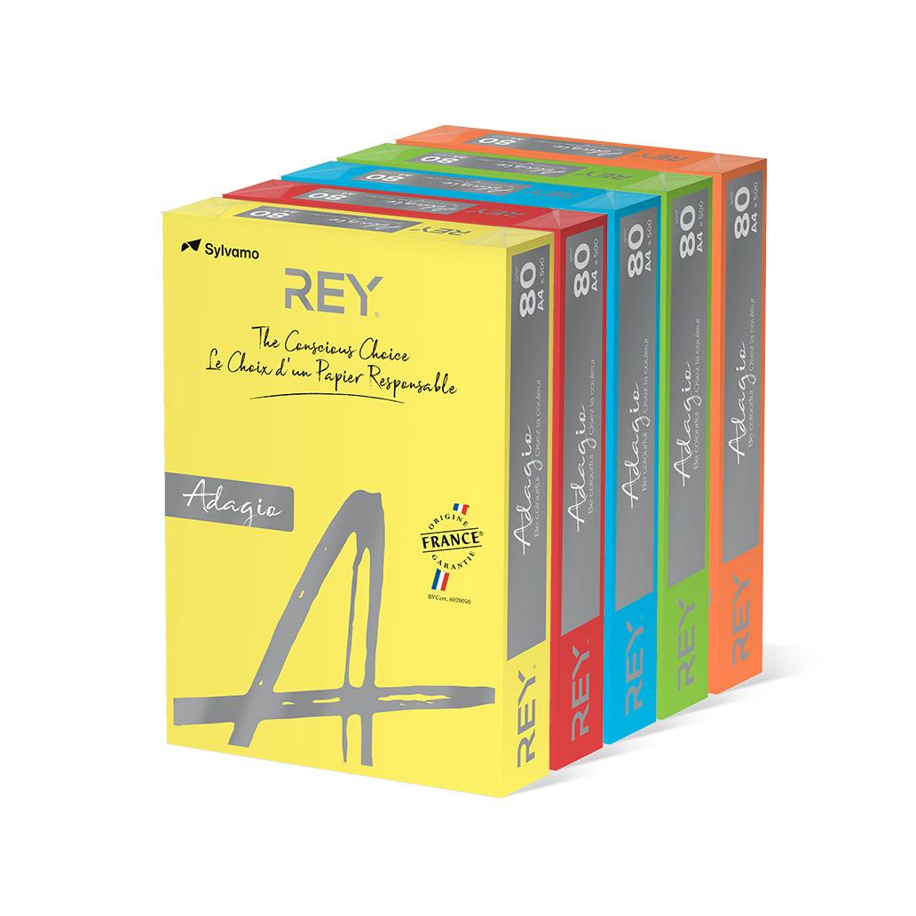 PAPEL A4 80GR ADAGIO RESMA SORTIDO INTENSO 5X100 = 500 FOLHAS IP