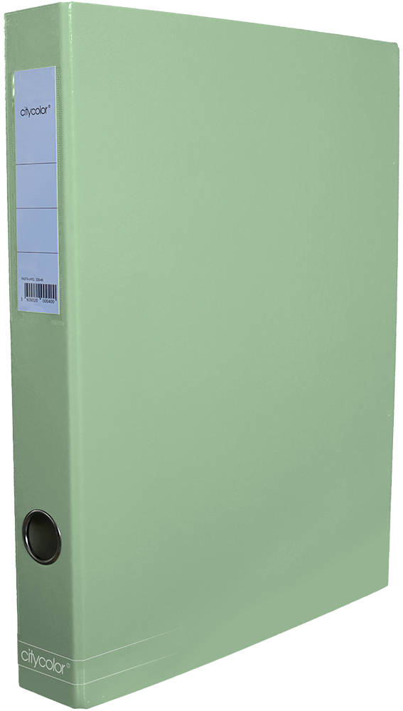 PASTA ARQUIVO CITYCOLOR A4 L40 LISA CINZA CLARO