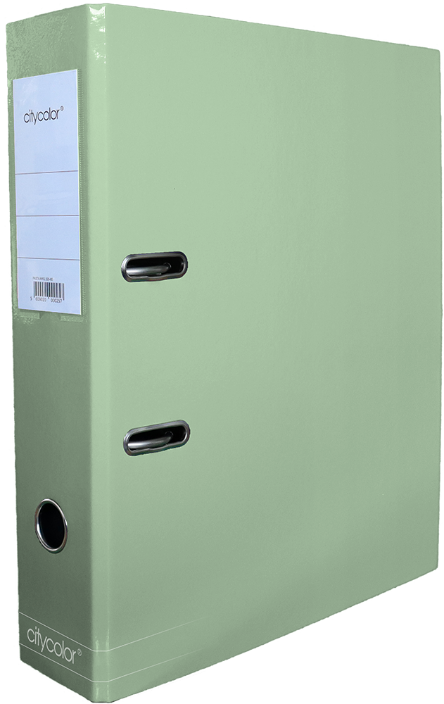 PASTA ARQUIVO CITYCOLOR A4 L80 LISA CINZA CLARO