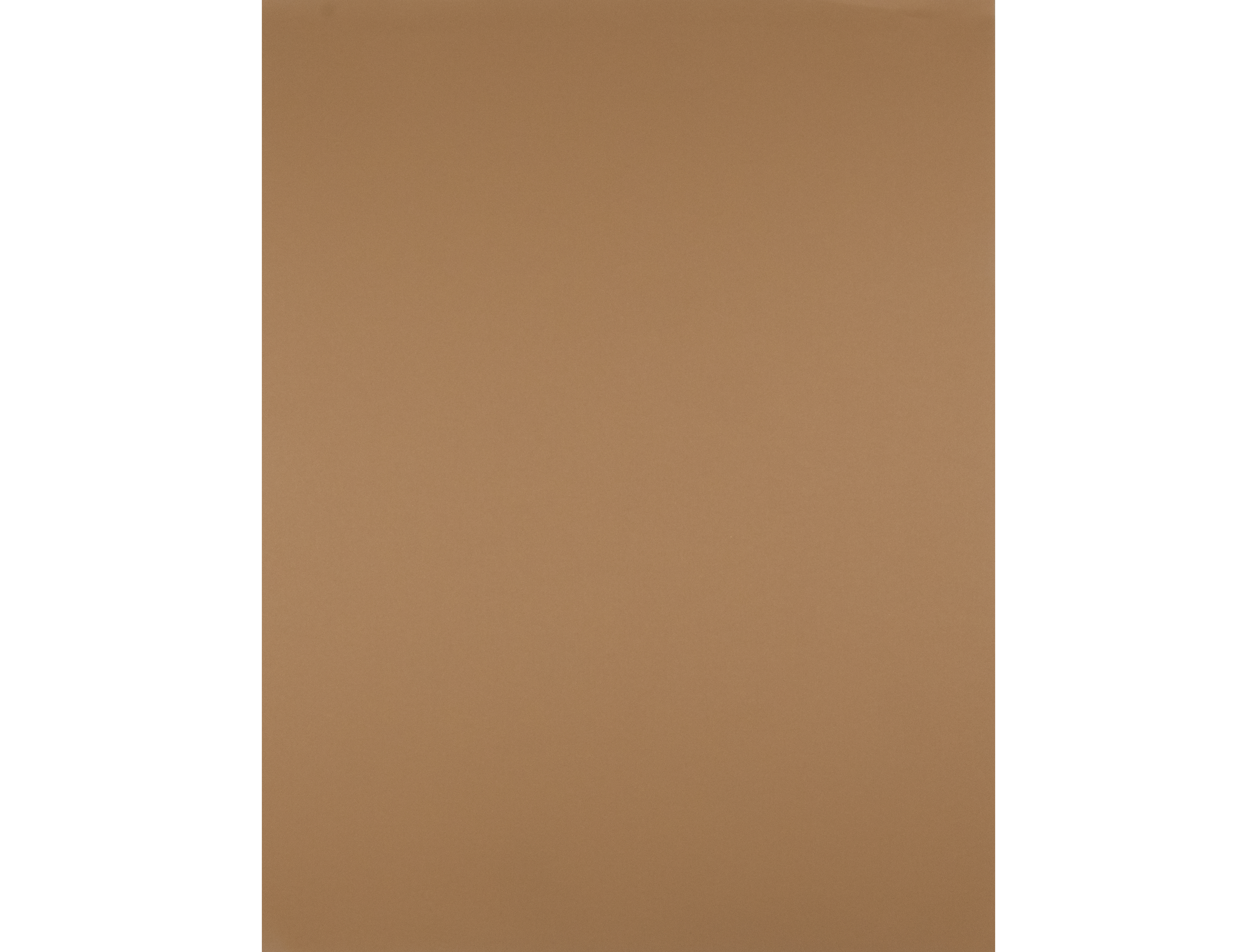 CARTOLINA 50X65 - CASTANHO CLARO