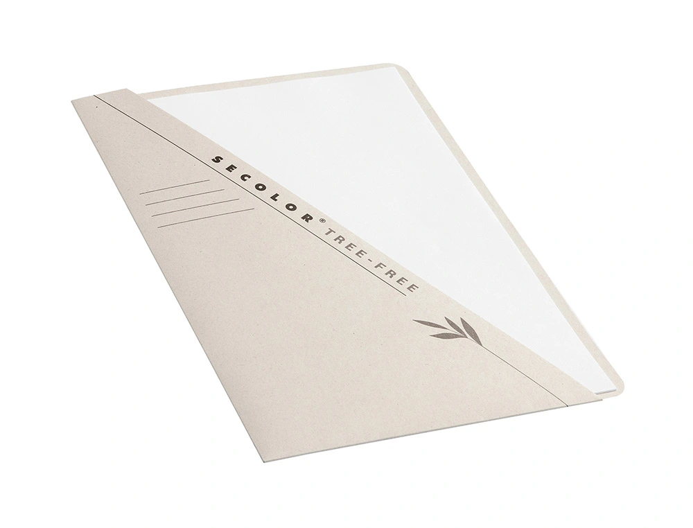 CLASSIFICADOR DE CARTOLINA TARIFOLD 226G DIN A4 COM BOLSA FRONTAL PACK C/10 2