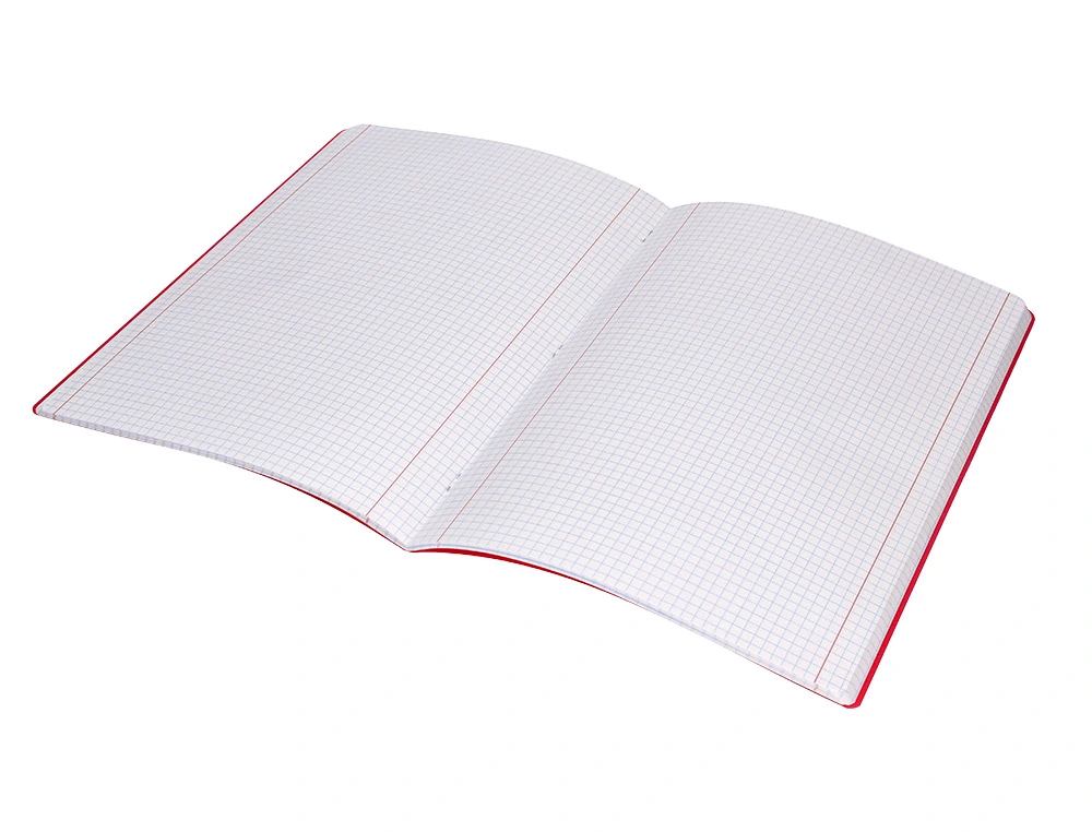 CADERNO AGRAFADO A4 48FOLHAS 90GR CAPA PLASTICA XADREZ CORES SORTIDAS 1