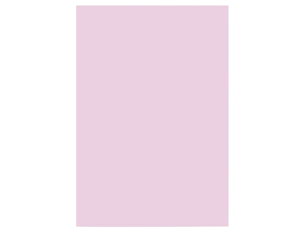 CARTOLINA 180GR A4 LIDER PACK C/100FOLHAS ROSA 0