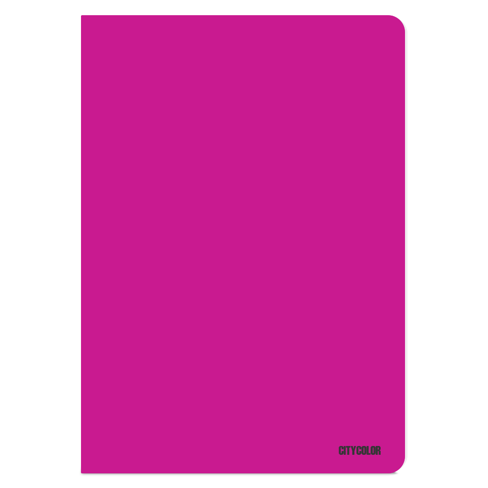 CADERNO AGRAFADO CAPA PP A4 CITYCOLOR OPEN&STAY 48FOLHAS 90G XADREZ COR SORTIDA 4