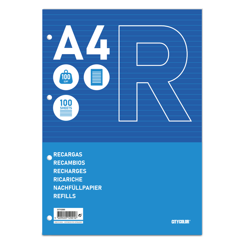 RECARGA A4 CITYCOLOR 100 FOLHAS 100GR PAUTADO