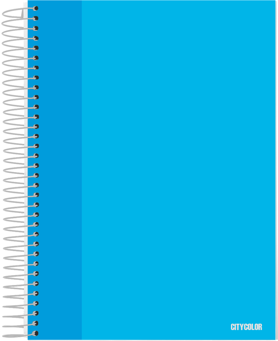 CADERNO CAPA DURA ESPIRAL A4 CITYCOLOR 120FOLHAS 70GR DISCIPLINAS PAUTADO 4