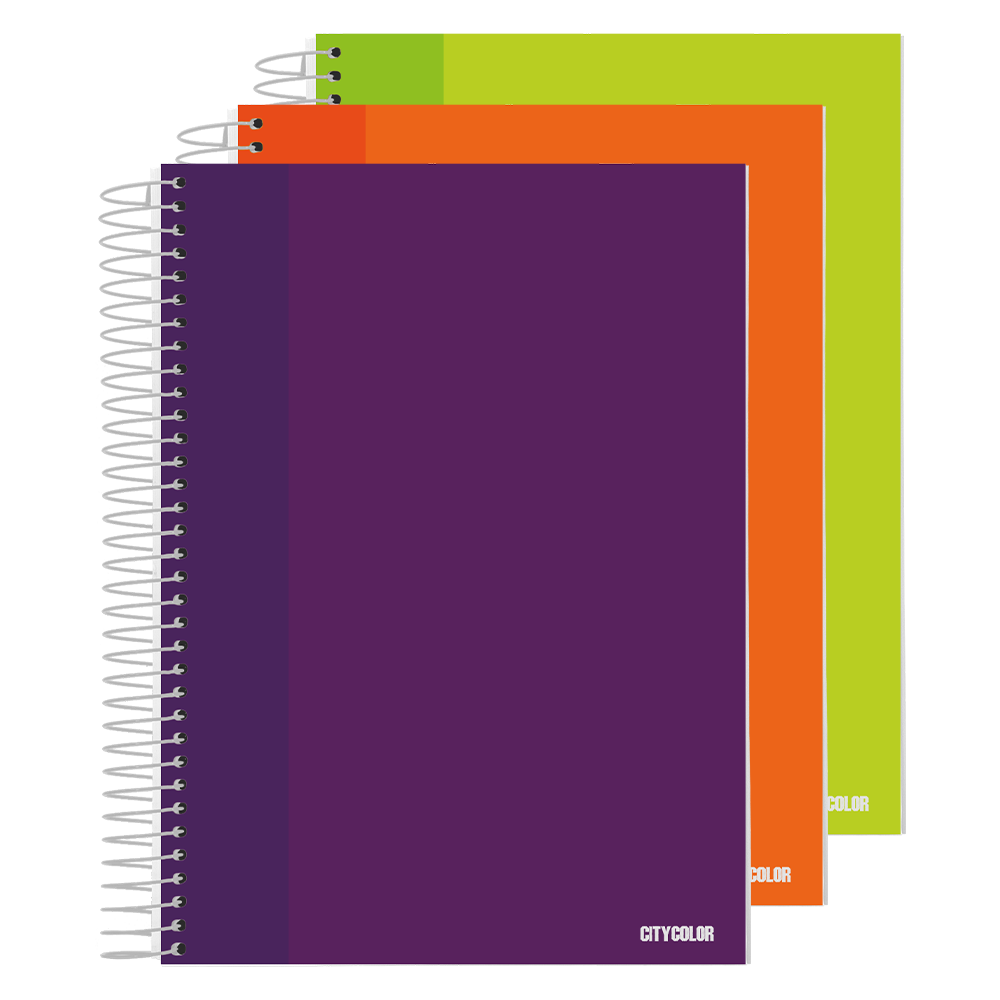 CADERNO CAPA DURA ESPIRAL A4 CITYCOLOR 120FOLHAS 70GR DISCIPLINAS PAUTADO
