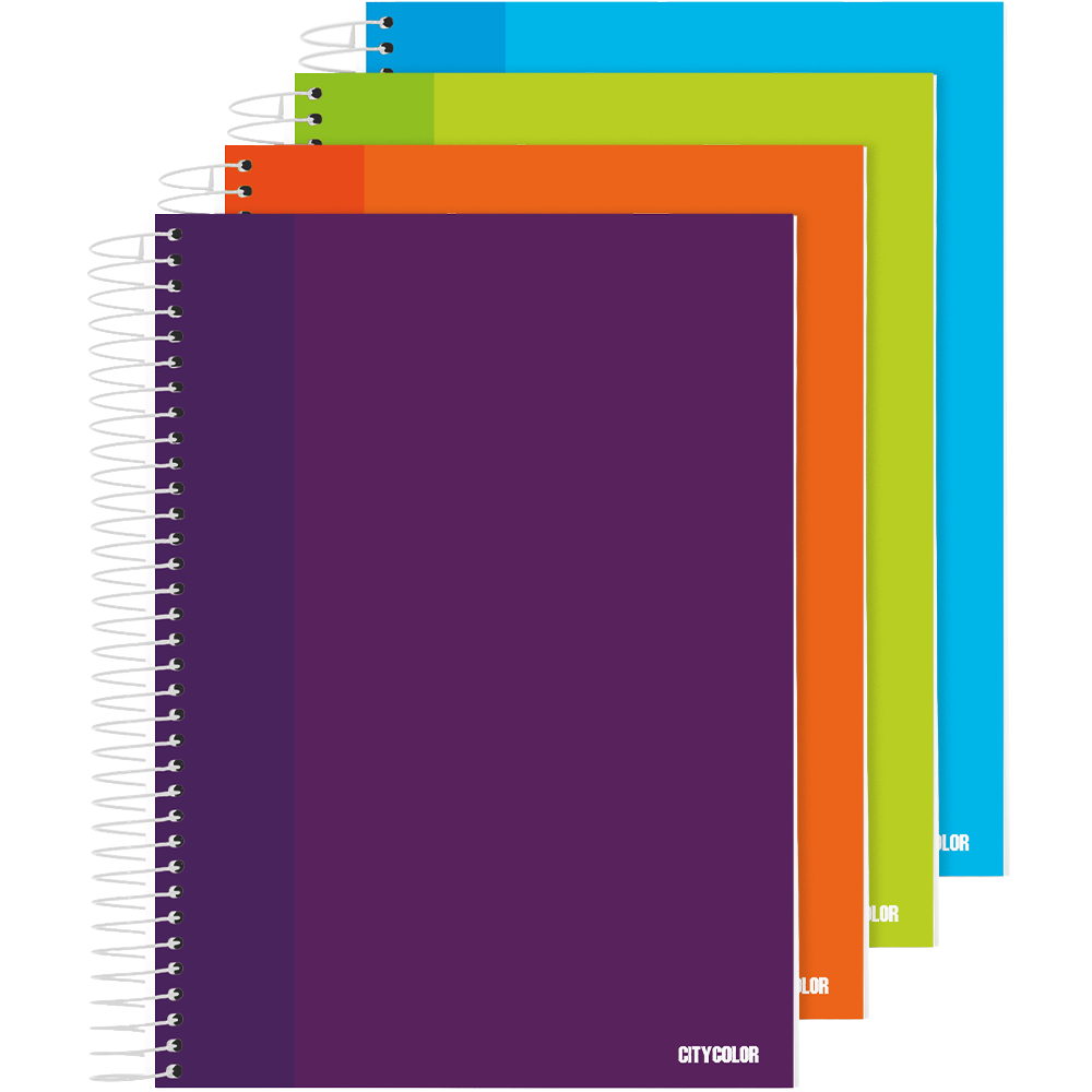 CADERNO CAPA DURA ESPIRAL A4 CITYCOLOR 120FOLHAS 70GR DISCIPLINAS PAUTADO 4