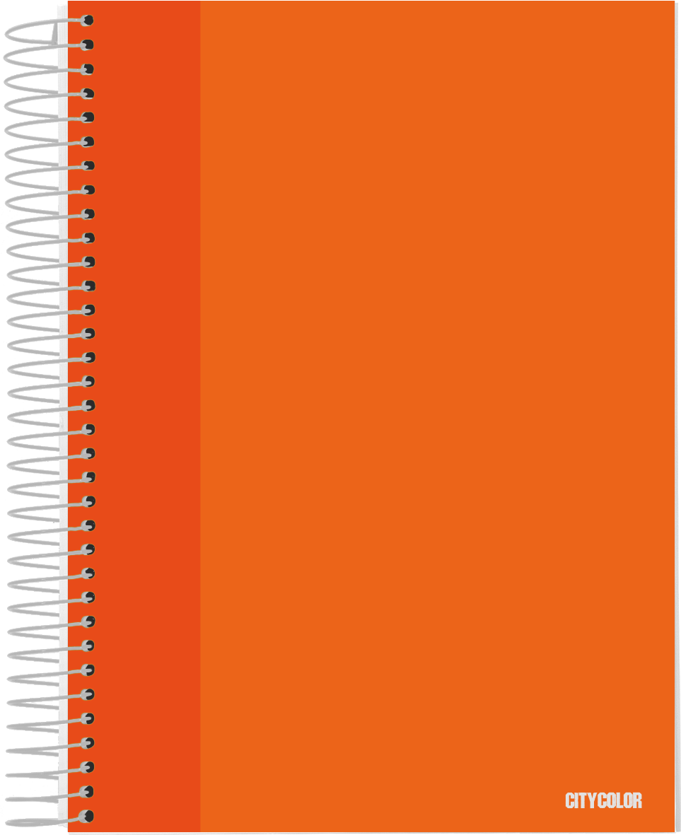 CADERNO CAPA DURA A4 120FOLHAS 70GR DISCIPLINAS CORES SORTIDAS 3