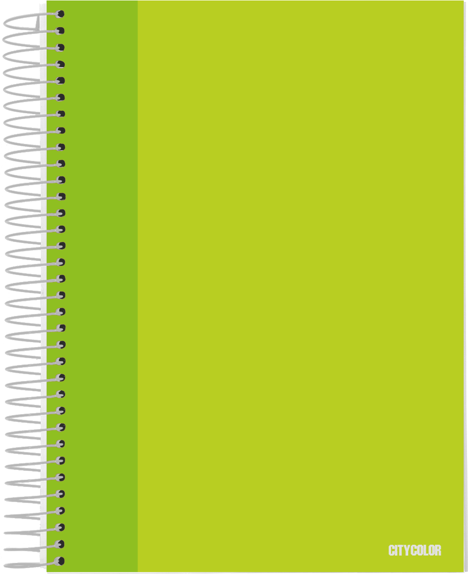 CADERNO CAPA DURA A4 120FOLHAS 70GR DISCIPLINAS CORES SORTIDAS 1