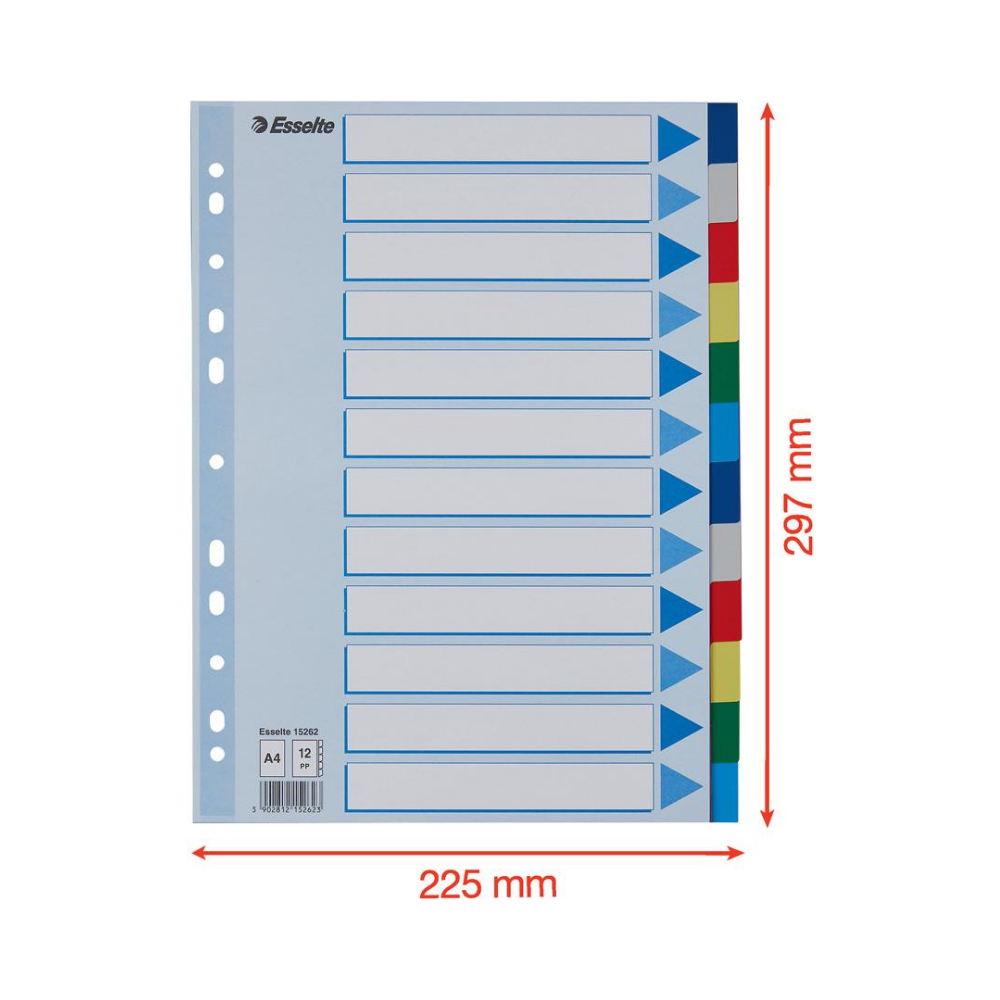 SEPARADORES PP A4 12P CORES SORTIDAS 15262