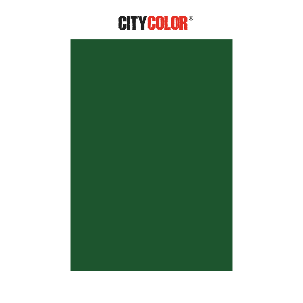 CARTOLINA CITYCOLOR 180G 50X70CM VERDE ESCURO CITY24114