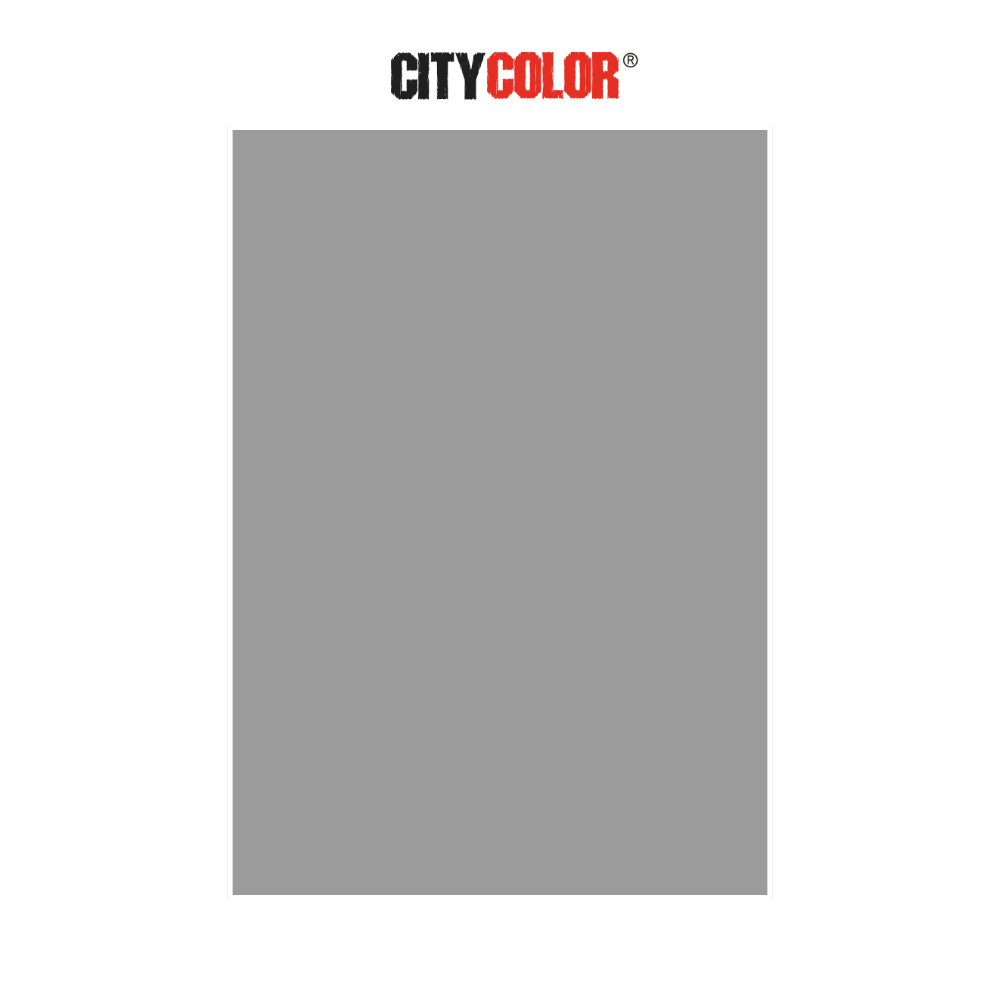 CARTOLINA CITYCOLOR 180G 50X70CM CINZA CITY24115