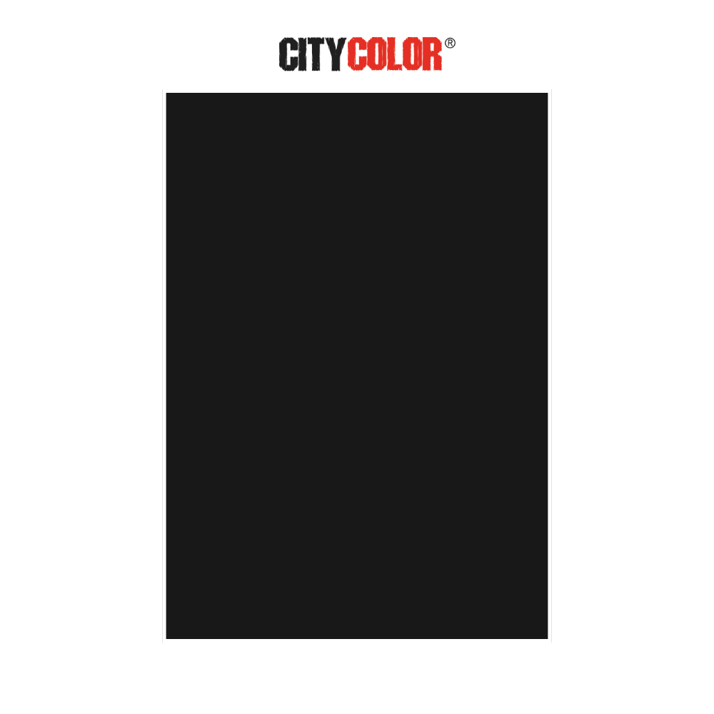 CARTOLINA CITYCOLOR 180G 50X70CM PRETO CITY24117